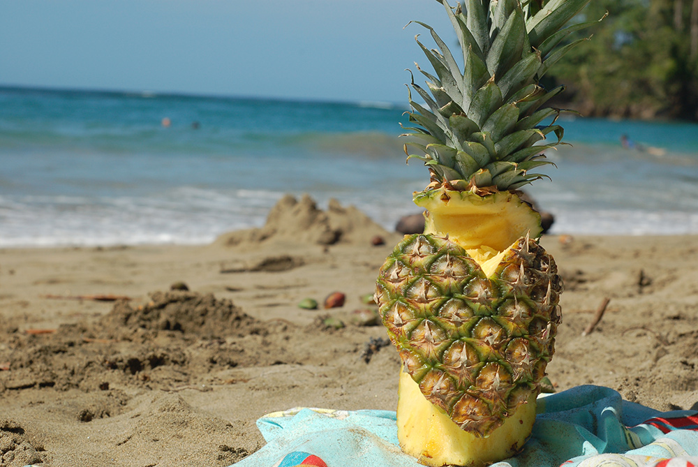 puerto-viejo-st-valentine-pineapple